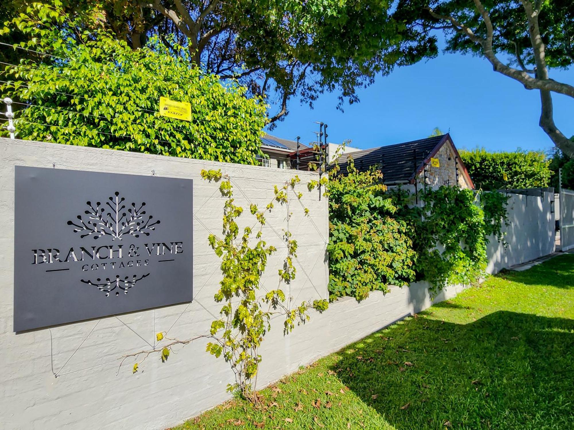 Branch & Vine Cottages - Constantia - Formerly Pinoak Cottages Cape Town Exterior foto